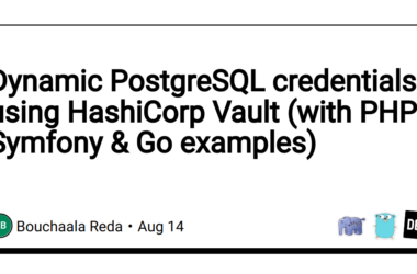 dynamic-postgresql-credentials-using-hashicorp-vault-(with-php-symfony-&-go-examples)