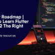 flutter-roadmap-|-how-to-learn-flutter-in-2022-the-right-way