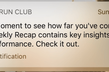 what-are-push-notifications-and-why-do-marketers-need-them?