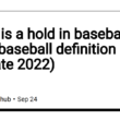 what-is-a-hold-in-baseball.-hold-baseball-definition-(update-2022)