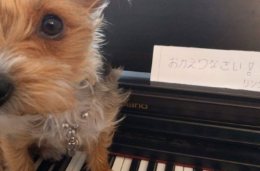 what-are-your-favorite-authors,-on-which-topics,-and-why?