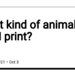 what-kind-of-animal-can-i-print?