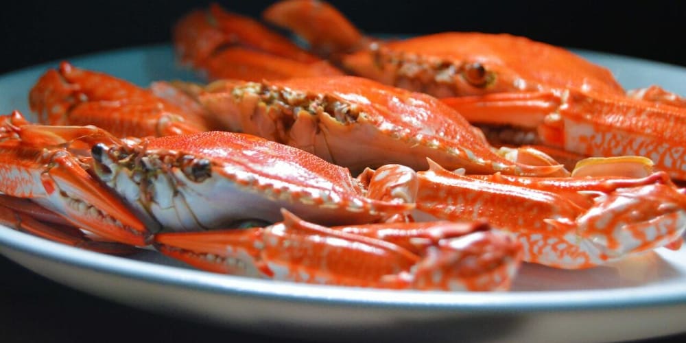 different-test-scopes-in-rust