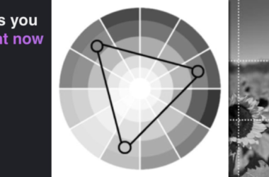 5-design-rules-everyone-should-know