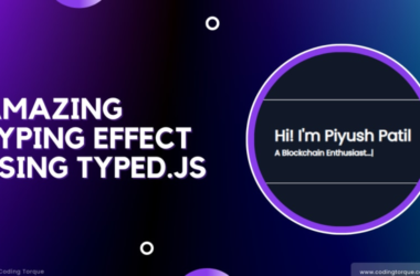 amazing-typing-effect-using-typed.js-(javascript)