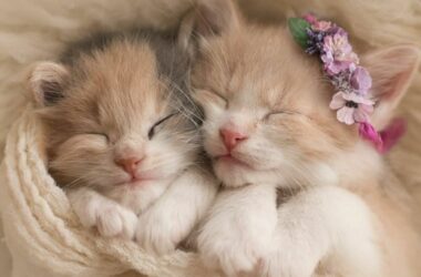 don’t-be-arrogantly-ignorant:-don’t-flame