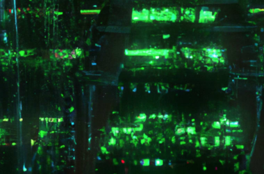 how-to-create-a-ruby-on-rails-api-with-scaffold-–-full-10-step-guide-in-5-minutes