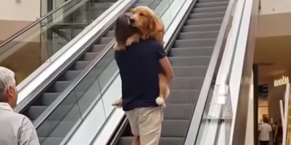 movin’-on-up:-an-analysis-of-the-privilege-escalation-vulnerability-cve-2022-26923