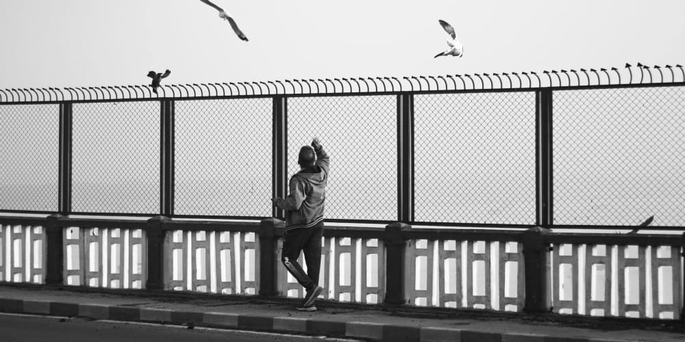 story-of-musk-and-the-bird’s-hap:-almost-doesn’t-kill-a-bird.