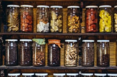 multi-app-web-server-in-30-terminal-commands