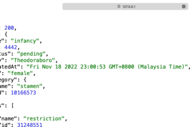 how-to-mock-an-api-in-one-minute