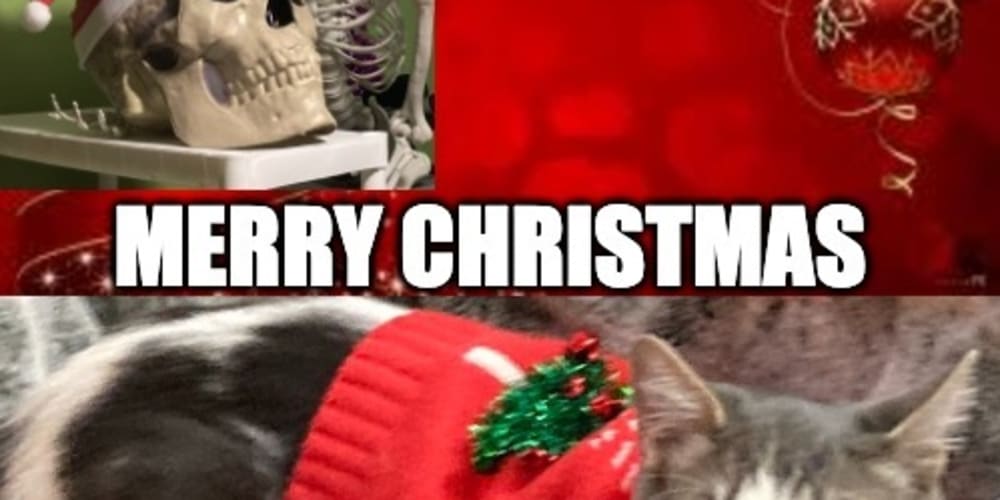 final-flip-stack-weekly-of-2022