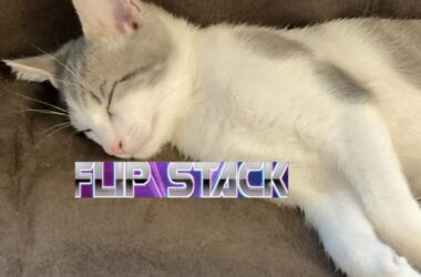 flip-stack-weekly-for-06-jan-2023