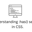 understanding-:has()-selector-in-css.