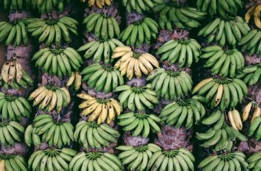 how-experimentation-and-feature-management-are-the-keys-to-your-plg-bundling-success