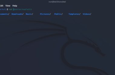 setting-up-zsh-and-oh-my-zhs-with-autocomplete-plugins