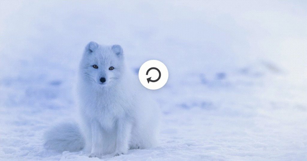 Effortlessly Add Pull To Refresh To Your Android App With Jetpack