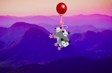 should-i-upgrade-to-eleventy-2.0?