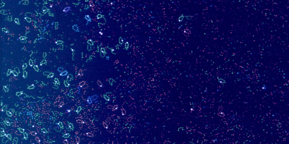 trending-cuda-repos-of-the-week-