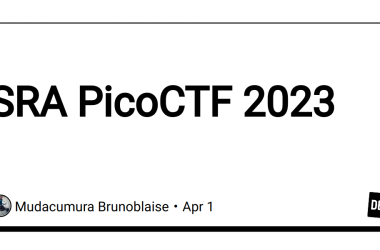 sra-picoctf-2023