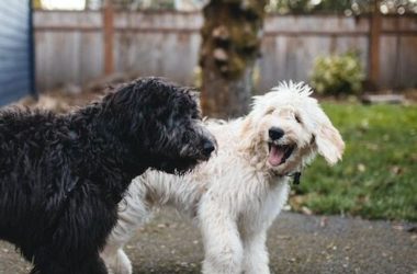 21-programming-memes-refresh-your-mind