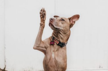 5-topics-you-should-touch-on-during-the-recruitment-process