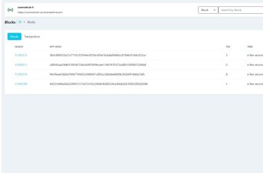 i-built-dexplorer:-disposable-cosmos-based-blockchain-explorer