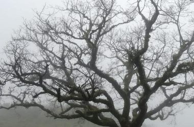 managing-outdated-composer-dependencies