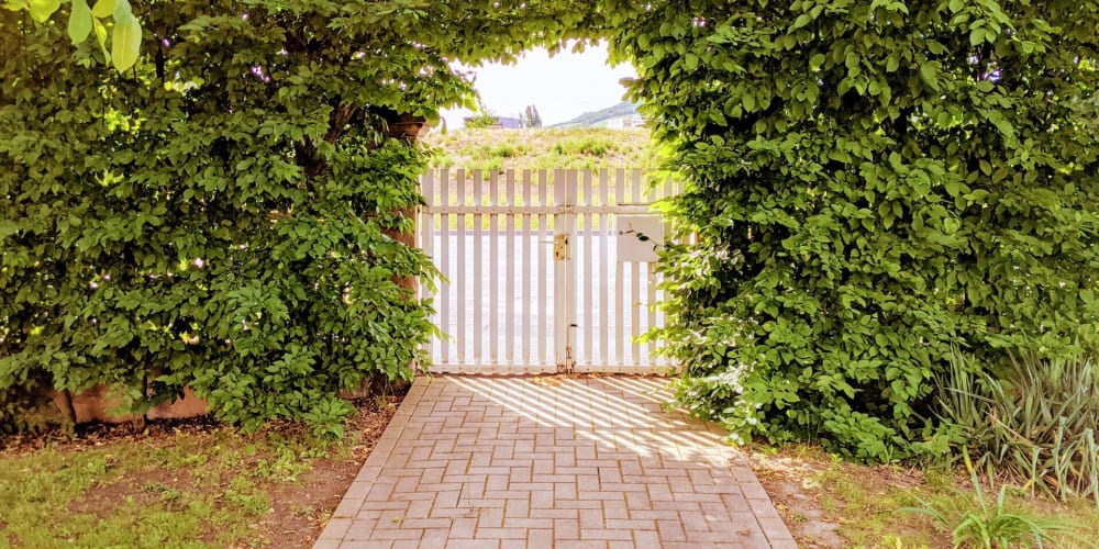 demystifying-angular-route-guards:-a-beginner’s-guide-to-secure-navigation