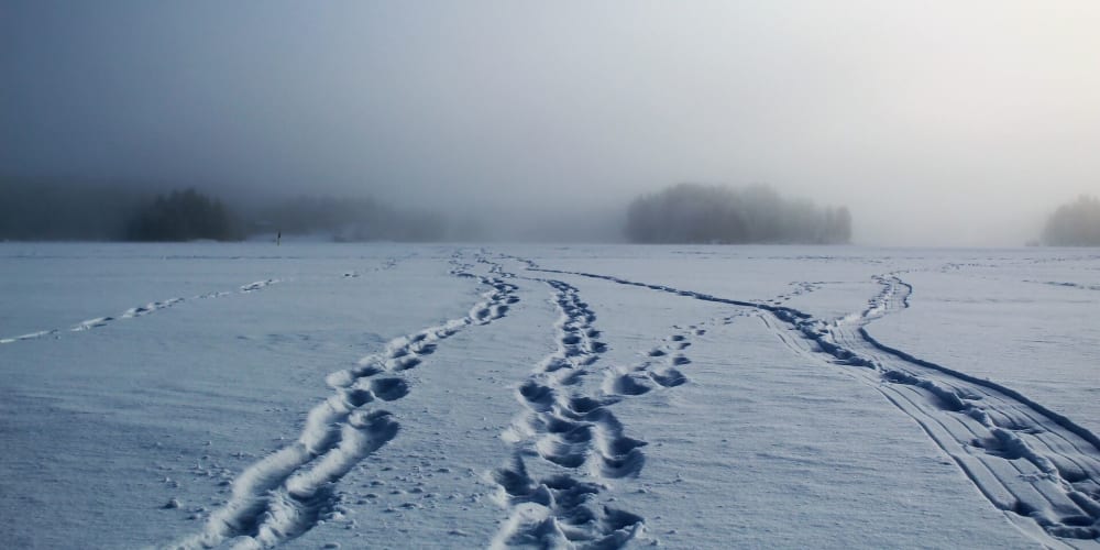 cql-trace-viewer:-visualizing-cql-traces-with-dash