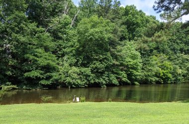 live-regions-in-react