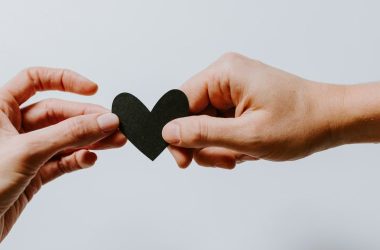 ai-medisphere-–-the-cardiovascular-prognosticator