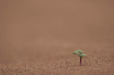 the-best-competitive-strategy-for-each-stage-in-the-business-lifecycle