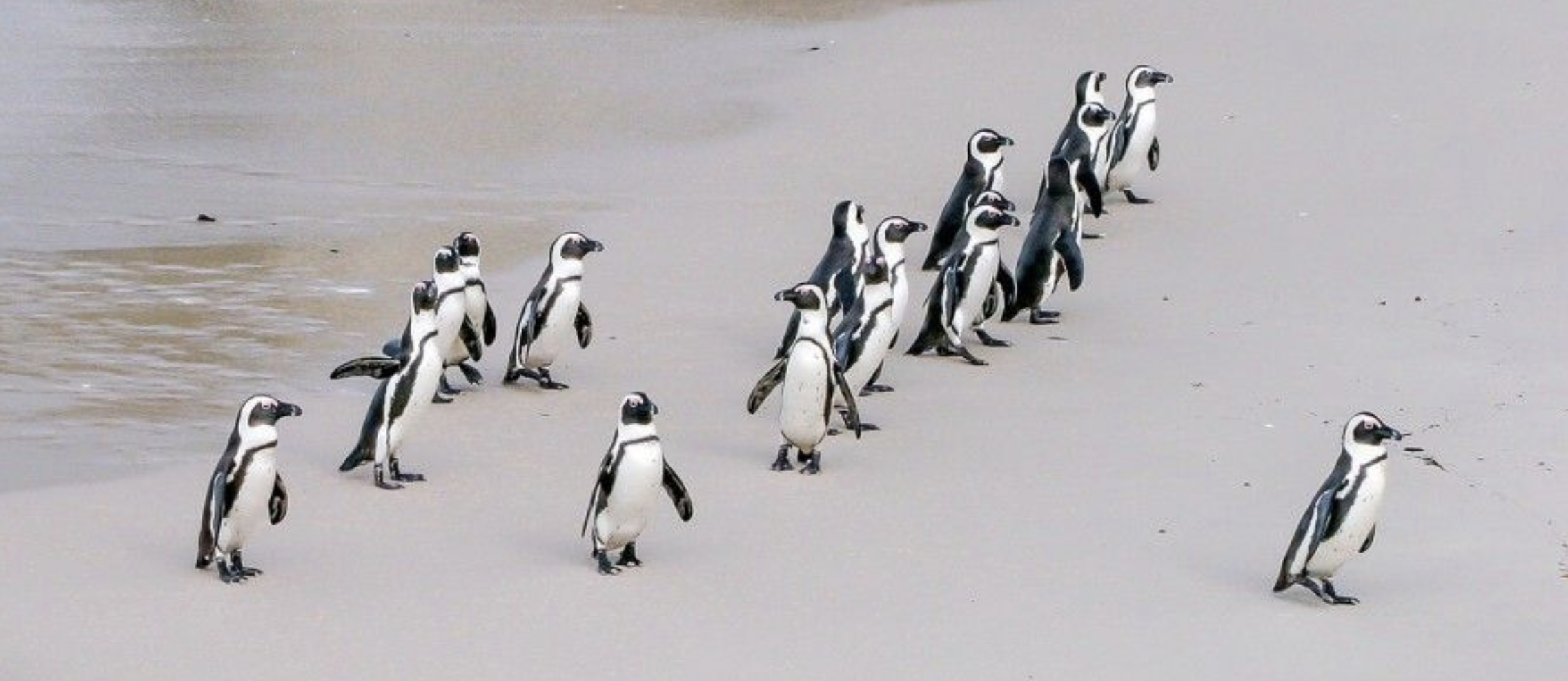 empower-your-employees-by-building-a-culture-that-values-every-customer-interaction