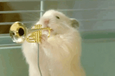 music-monday-—-what-are-you-listening-to?-(pets-edition)