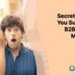 secrets-to-help-you-succeed-in-b2b-content-marketing
