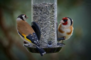 bot-making-bot:-data-to-dialog