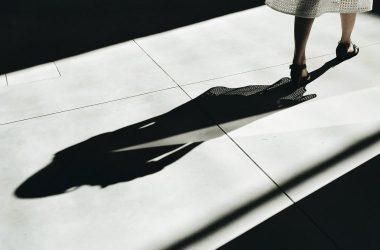 shadow-dom:-not-by-default