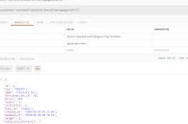 how-to-test-the-magento-api-in-postman?