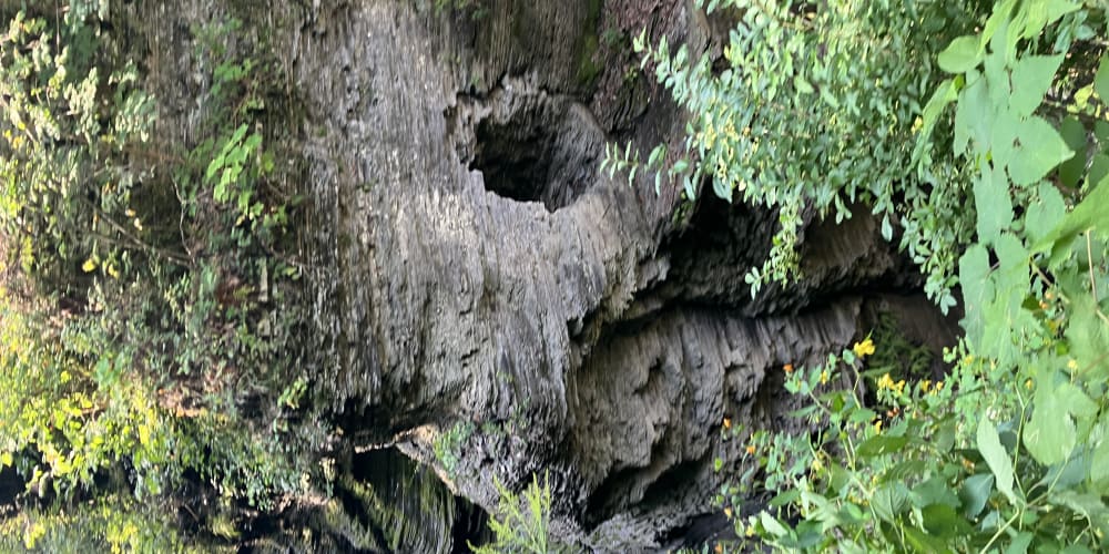 flank-stack-weekly-5-september-2023