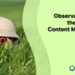 observations-on-the-state-of-content-marketing