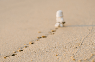 making-your-mark:-the-pmm’s-startup-survival-guide