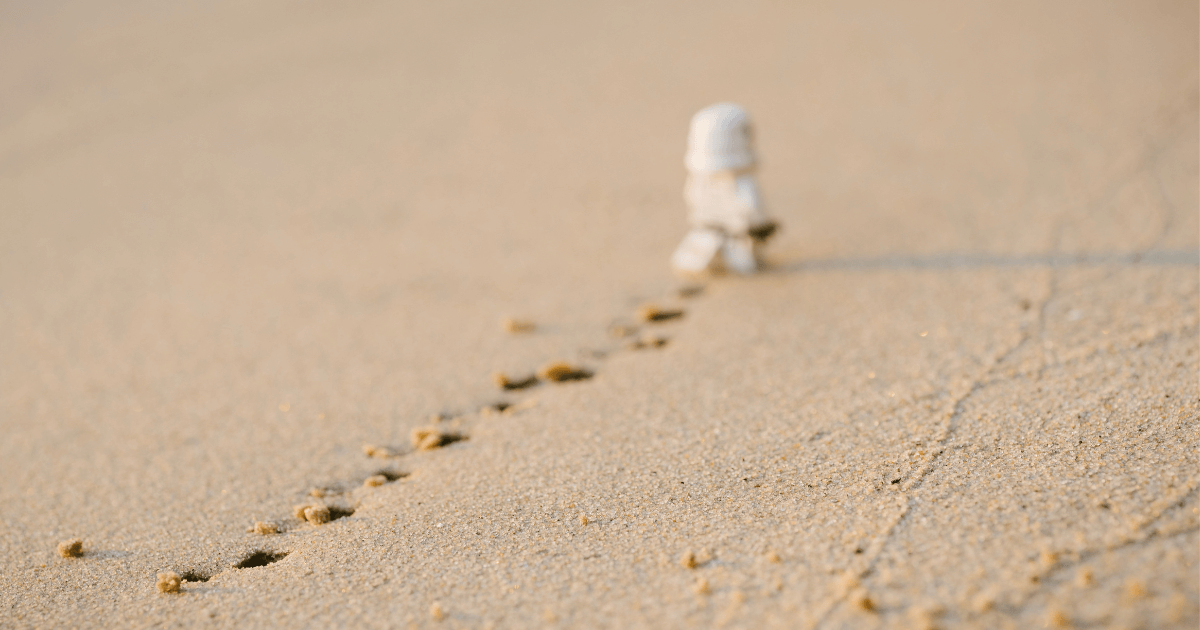 making-your-mark:-the-pmm’s-startup-survival-guide