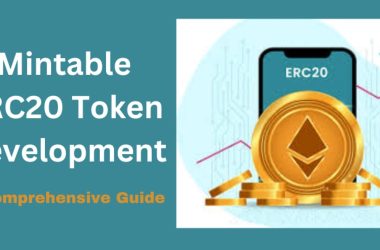 mintable-erc20-token-development