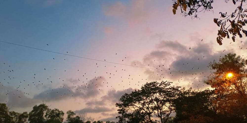 data-plane/worker-node-–-k8s