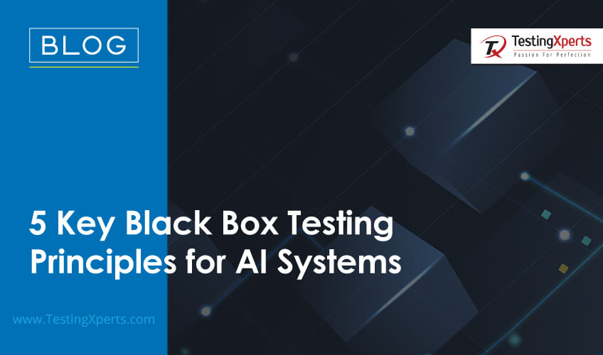 5-key-black-box-testing-principles-for-ai-systems