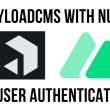 payload-cms-authentication-in-nuxt-using-a-custom-plugin