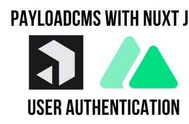 payload-cms-authentication-in-nuxt-using-a-custom-plugin