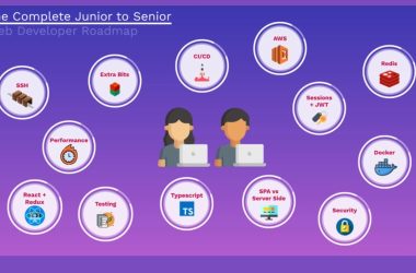 junior-to-senior-web-developer-roadmap:-breakdown