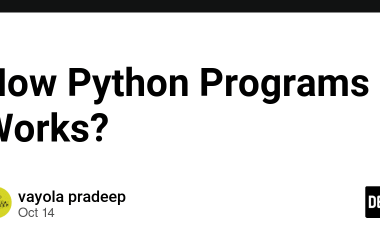 how-python-programs-works?